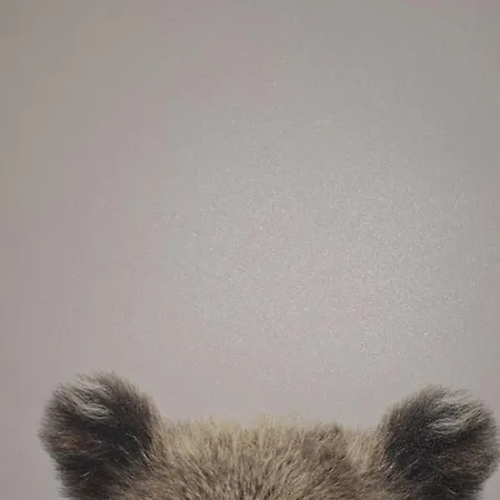 Rila Park Ap By The Slopes ボロヴェッツ