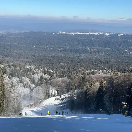 アパート Rila Park Ap By The Slopes ボロヴェッツ