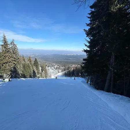 Rila Park Ap By The Slopes Апартаменты *