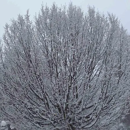 Rila Park Ap By The Slopes *