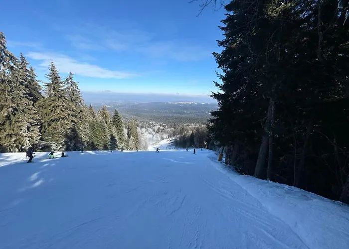 Rila Park Ap By The Slopes Appartement *