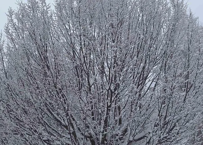 Rila Park Ap By The Slopes *